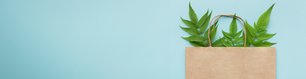 Benefits of Using Eco-Friendly Paper Bags: Sustainability and Style