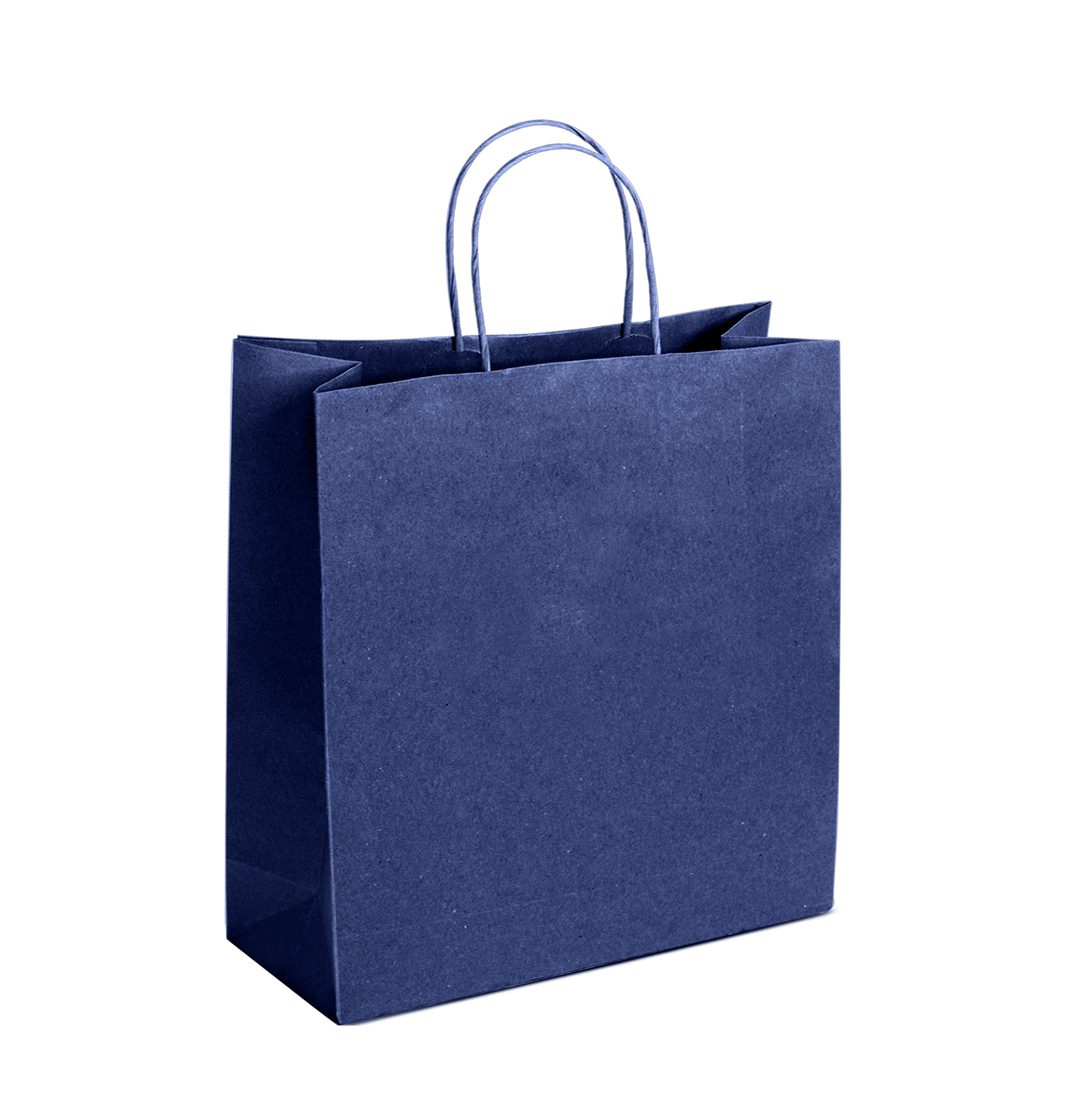 Tinted Color On Navy Blue Kraft Twisted Paper Shopper 9.75 X 4.25 X 12.25 IN