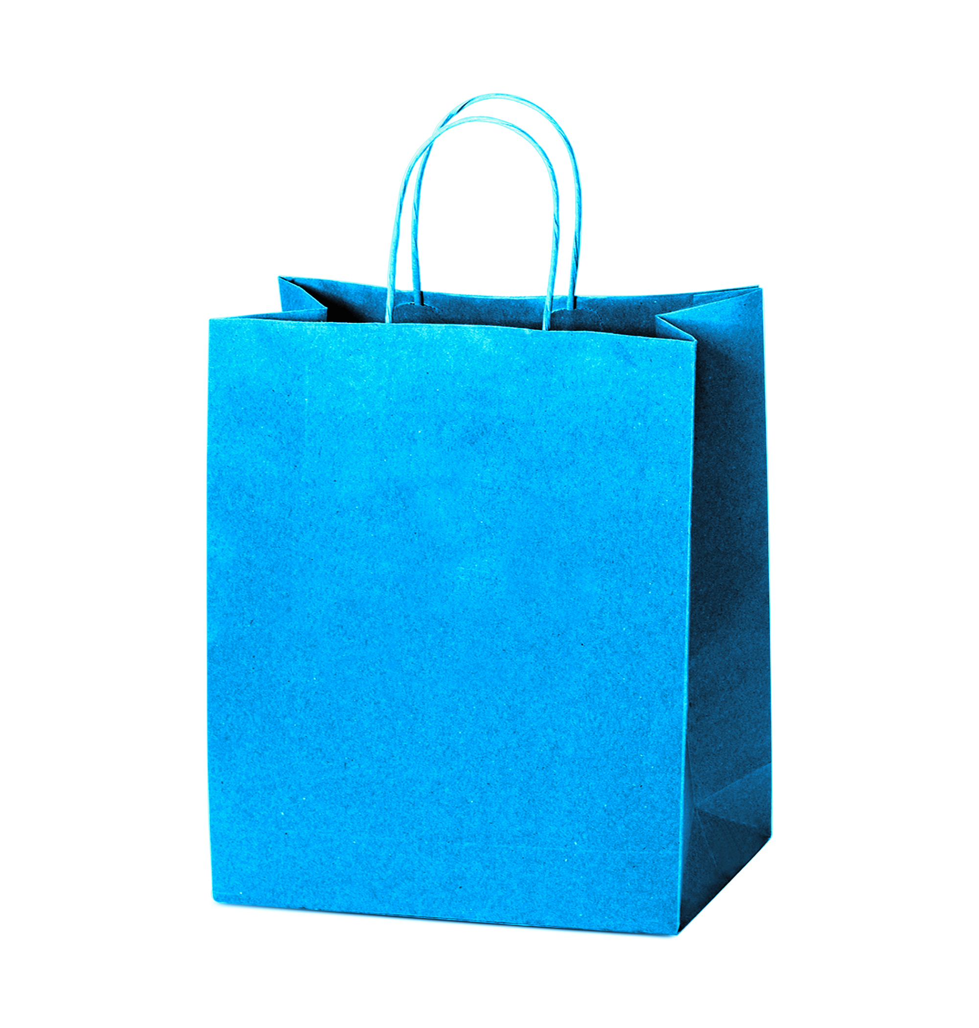 Tinted Color On Process Blue Kraft Twisted Paper Shopper 9.75 X 4.25 X 12.25 IN
